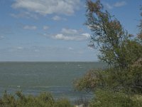 F, Bouches-du-Rhone, Saintes Maries de la Mer, Etang de Vaccares 4, Saxifraga-Marijke Verhagen