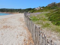 F, Corse, Ajaccio, Capo di Feno 1,  Saxifraga-Peter Meininger