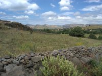 GR, Lesvos, Lesvos, Skala Eresou plains 1, Saxifraga-Theo Verstrael