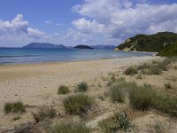 GR, Zakynthos, Zakynthos, Gerakas beach 1, Saxifraga-Theo Verstrael