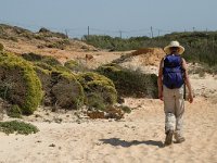 P, Beja, Odemira, Zambujeira 9, Saxifraga-Jan van der Straaten