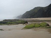 P, Faro, Vila do Bispo, Praia da Cordoama 24, Saxifraga-Willem van Kruijsbergen