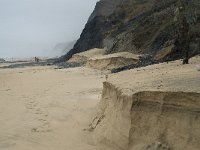 P, Faro, Vila do Bispo, Praia da Cordoama 9, Saxifraga-Willem van Kruijsbergen