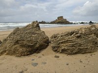 P, Faro, Vila do Bispo, Praia de Castelejo 6, Saxifraga-Willem van Kruijsbergen