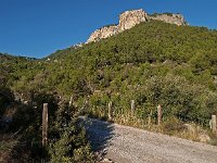 E, Mallorca, Alaro 3, Saxifraga-Hans Dekker