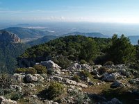 E, Mallorca, Alaro, Castel d Alaro 14, Saxifraga-Hans Dekker