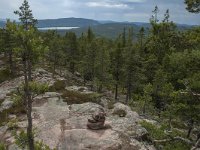 S, Vasternorrlands lan, Kramfors, Skuleskogen 18, Saxifraga-Marijke Verhagen