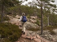 S, Vasternorrlands lan, Kramfors, Skuleskogen 7, Saxifraga-Jan van der Straaten