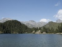 CH, Graubuenden, Stampa, Lagh da Cavloc 5, Saxifraga-Willem van Kruijsbergen