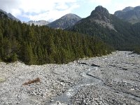 CH, Graubuenden, Zernez, Ova dal Fuorn 1, Saxifraga-Jan van der Straaten