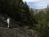 CH, Graubuenden, Zernez, SNP, God de la Schera 1, Saxifraga-Jan van der Straaten,