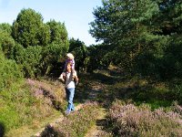 NL, Drenthe, Dwingeloo 2, Saxifraga-Hans Dekker