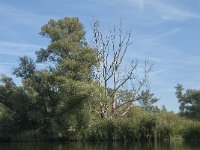 NL, Noord-Brabant, Altena, Gat van den Hardenhoek 2, Saxifraga-Jan van der Straaten