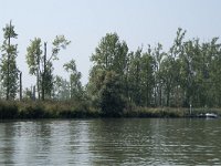 NL, Zuid-Holland, Dordrecht, Huiswaard 3, Saxifraga-Willem van Kruijsbergen