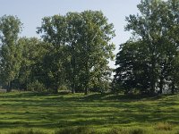 B, Limburg, Maaseik, Bosbeek 1, Saxifraga-Jan van der Straaten