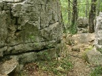 F, Ardeche, Les Vans, Bois de Paiolive 4, Saxifraga-Dirk Hilbers