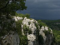 F, Ardeche, Vans, Bois de Paiolive 6, Saxifraga-Dirk Hilbers