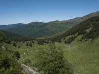 F, Ariege, Aulus les Bains, Col d Agnes 12, Saxifraga-Willem van Kruijsbergen