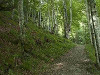 F, Ariege, Couflens, Cirque d Anglade 4, Saxifraga-Willem van Kruijsbergen