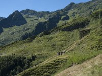 F, Ariege, Couflens, Port de Salau 15, Saxifraga-Willem van Kruijsbergen