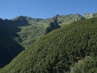 F, Ariege, Couflens, Port de Salau 4, Saxifraga-Willem van Kruijsbergen