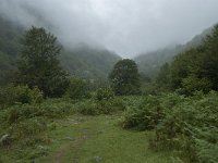 F, Ariege, Ustou, Cirque de Cagateille 5, Saxifraga-Willem van Kruijsbergen