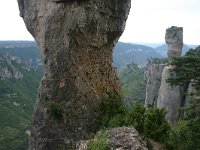 F, Lozere, Le Rozier 2, Saxifraga-Dirk Hilbers