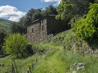 F, Lozere, Molezon, La Roquette 8, Saxifraga-Willem van Kruijsbergen