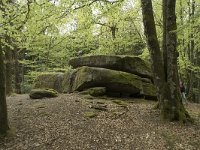 F, Nievre, Dun-les-Places, Dolmen Chevresse 5, Saxifraga-Willem van Kruijsbergen