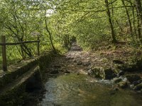 F, Nievre, Dun-les-Places, le Moulin du Plateau 2, Saxifraga-Willem van Kruijsbergen