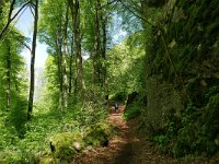 D, Rheinland-Pfalz, Gerolstein, Gerolsteiner Dolomiten 5, Saxifraga-Tom Heijnen