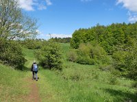 D, Rheinland-Pfalz, Gerolstein, Gerolsteiner Dolomiten 8, Saxifraga-Tom Heijnen