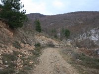 GR, Evros, Soufli, Dadia forest 37, Saxifraga-Dirk Hilbers