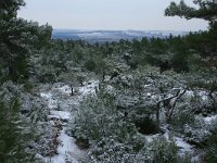 GR, Evros, Soufli, Dadia forest 46, Saxifraga-Dirk Hilbers