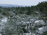 GR, Evros, Soufli, Dadia forest 47, Saxifraga-Dirk Hilbers