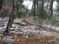 GR, Evros, Soufli, Dadia forest 53, Saxifraga-Dirk Hilbers