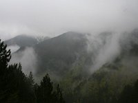 GR, Kentrikí Makedhonía, Dion Olympos, Mount Olympos 13, Saxifraga-Dirk Hilbers