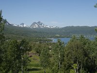 N, Troms, Foldvik 1, Saxifraga-Jan van der Straaten