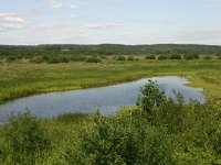 PL, Podlaskie, Lomza, Narew 2, Saxifraga-Hans Boll