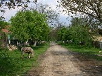 Romania