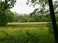 NL, Drenthe, Noordenveld, Nietap 32, Saxifraga-Hans Boll