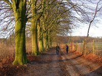 NL, Gelderland, Rheden, Middachten 9, Saxifraga-Henk Sierdsema