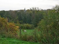 NL, Limburg, Eijsden-Margraten, W of Noorbeek 1, Saxifraga-Tom Heijnen