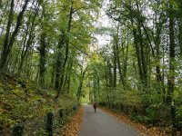 NL, Limburg, Eijsden-Margraten, W of Noorbeek 4, Saxifraga-Tom Heijnen