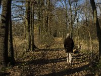 NL, Limburg, Nederweert, Hugterbroek 4, Saxifraga-Jan van der Straaten