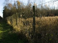 NL, Limburg, Nederweert, Hugterbroek 6, Saxifraga-Jan van der Straaten