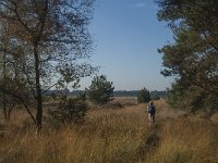 NL, Noord-Brabant, Hilvarenbeek, Rovertsche Heide 2, Saxifraga-Jan van der Straaten