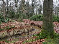 NL, Noord-Brabant, Oirschot, Landgoed Baest S of Wilhelminakanaal 12, Saxifraga-Tom Heijnen