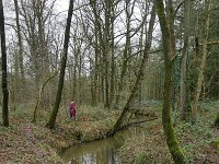 NL, Noord-Brabant, Reusel-De Mierden, Landgoed Wellenseind 3, Saxifraga-Tom Heijnen