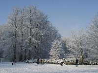 NL, Noord-Brabant, Tilburg, De Oude Warande 13, Saxifraga-Jan van der Straaten